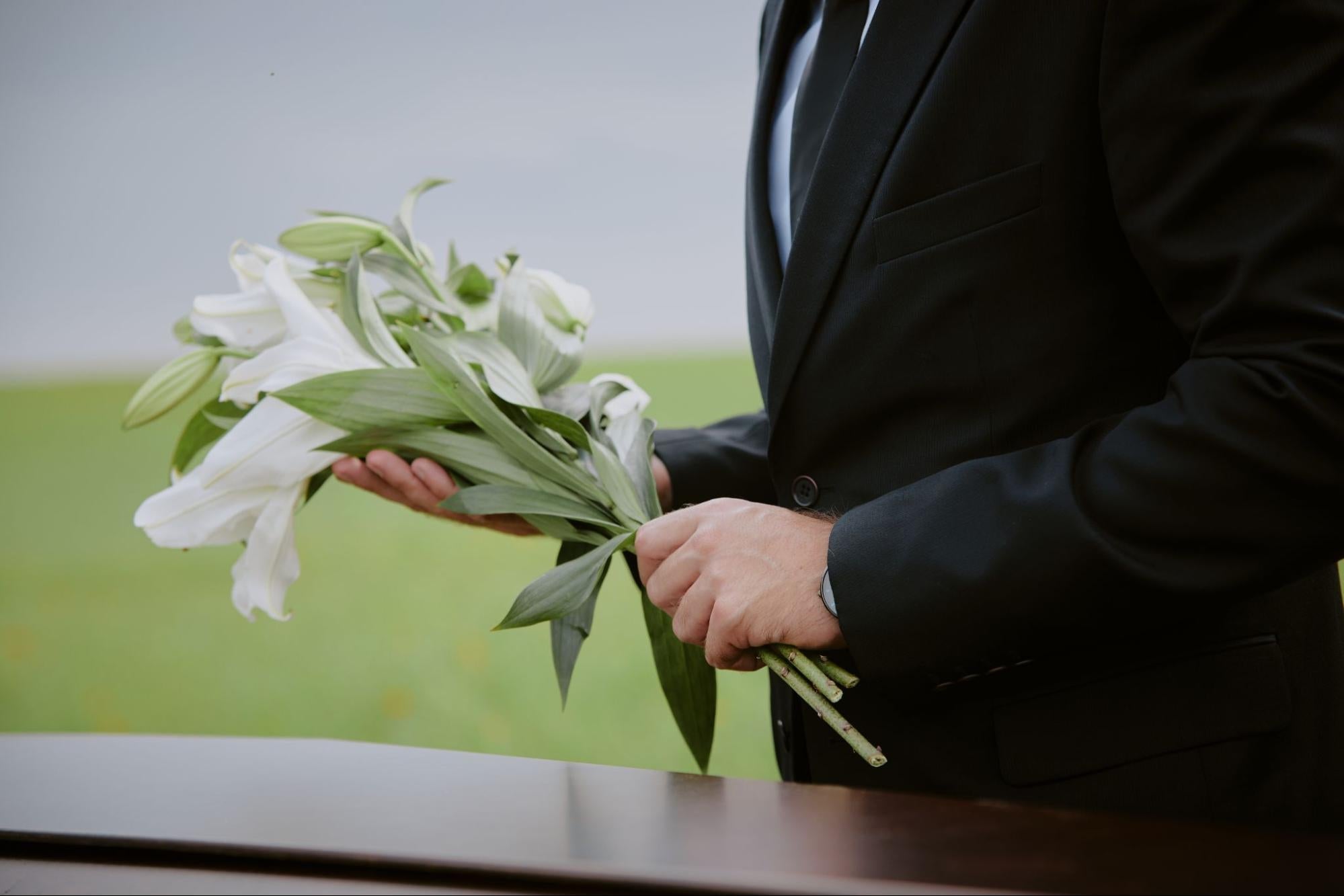 it-is-a-long-established-fact-that-a-reader-will